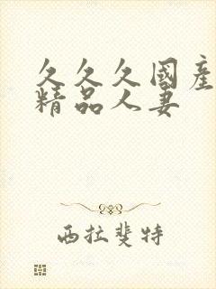 久久久国产日韩精品人妻