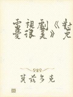 电视剧《对你的爱很美》免费观看