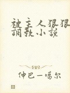 被主人狠狠惩罚调教小说