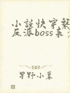 小说快穿系统之反派boss来袭