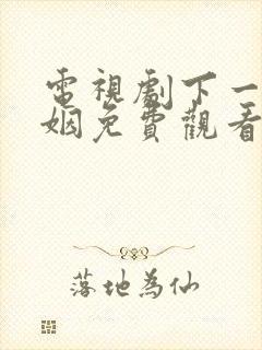 电视剧下一站婚姻免费观看全集高清封面