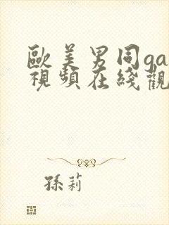 欧美男同gay视频在线观看