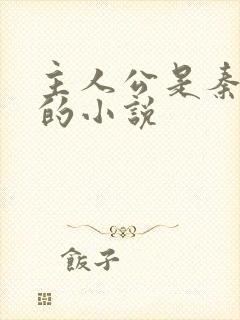 主人公是秦守业的小说