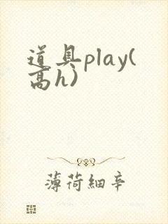 道具play(高h)