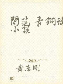 闺范 青铜穗 小说