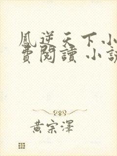 凤逆天下小说免费阅读 小说封面