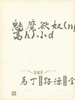 魅魔欲奴(np高h)小d