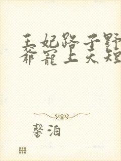 王妃路子野,王爷宠上天短剧免费观看封面