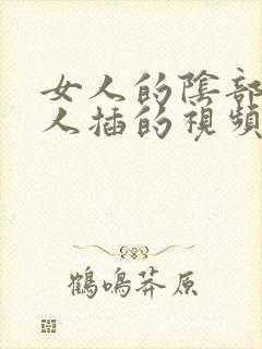 女人的阴部被男人插的视频