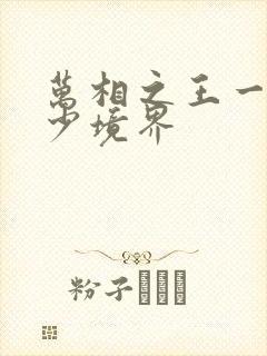 万相之王一共多少境界