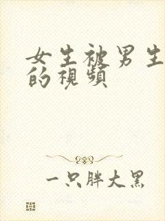 女生被男生操爽的视频