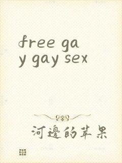 free gay gay sex