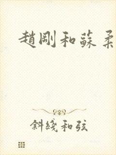 赵刚和苏柔封面