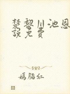 楚黎川池恩宁小说免费