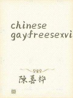 chinesegayfreesexvideo封面