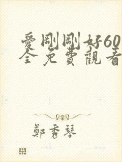 爱刚刚好60集全免费观看电视剧