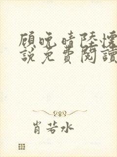 顾晚晴陆怀铮小说免费阅读最新章节