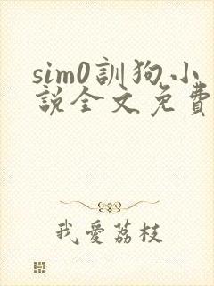 sim0训狗小说全文免费阅读