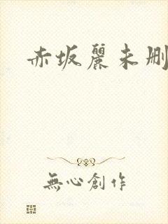 赤坂丽未删减封面