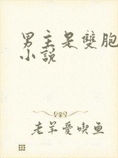 男主是双胞胎的小说封面