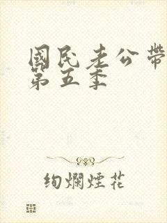 国民老公带回家第五季封面