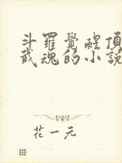 斗罗觉醒顶级龙武魂的小说封面