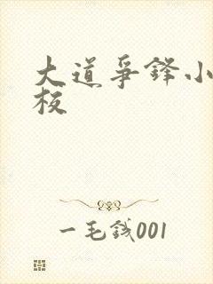 大道争锋小说精校