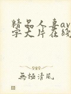 精品人妻av中字大片在线