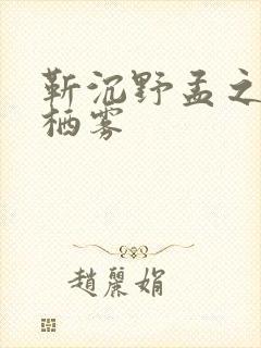 靳沉野孟之瑶唐栖雾
