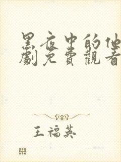 黑夜中的他电视剧免费观看