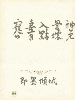 宠妻入骨神秘老公有点坏免费阅读封面