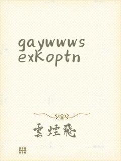 gaywwwsexkoptn封面