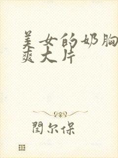 美女的奶胸大爽爽大片