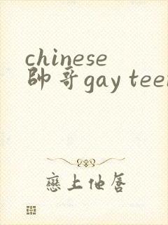 chinese帅哥gay teen