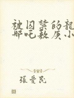 被囚禁的龙by哪吒敖庚小说笔趣阁