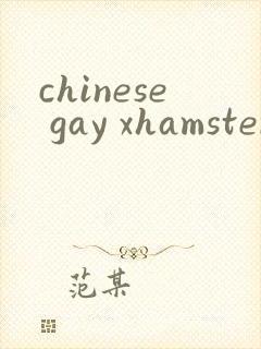 chinese gay xhamster