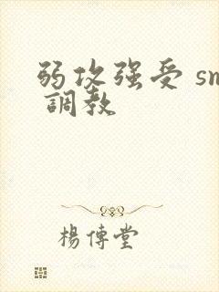 弱攻强受 sm 调教