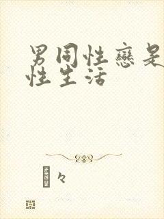 男同性恋是怎么性生活