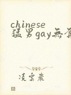 chinese猛男gay无套