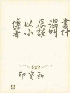 傅以辰温书芹原著小说叫什么