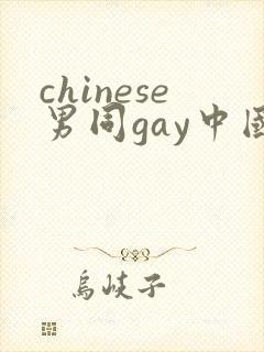 chinese男同gay中国帅哥 12封面