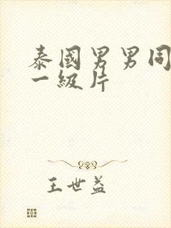 泰国男男同性恋一级片封面