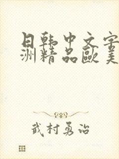 日韩中文字幕亚洲精品欧美人妻在线