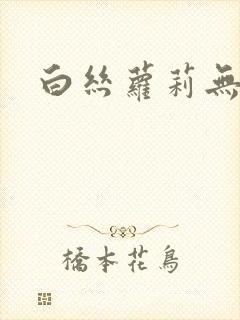 白丝萝莉无圣光