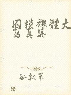 国模裸体大尺度写真集