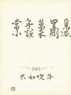 当年万里觅封侯小说未删减