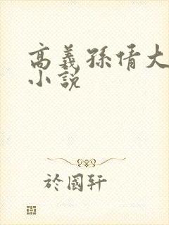 高义孙倩大团结小说