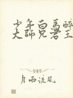 少年白马醉春风大师兄君玉