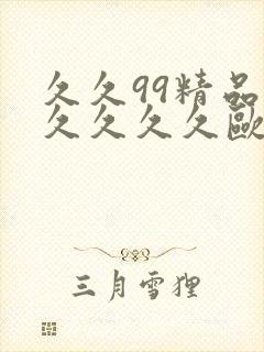 久久99精品久久久久久欧美