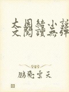 大团结小说集全文阅读无弹窗